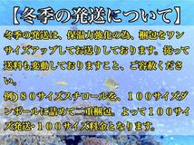 条件あり送料1円【タネギンポ オス一匹メス二匹計三匹セット】※メスはオスよりふた周りほど小さいです 海水魚 ギンポ カエルウオ 可愛い魚_画像6