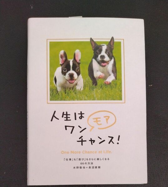 人生はワンモアチャンス！　「仕事」も「遊び」もさらに楽しくなる６６の方法 水野敬也／著　長沼直樹／著