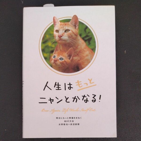 人生はもっとニャンとかなる！　明日にもっと幸福をまねく６８の方法 水野敬也／著　長沼直樹／著