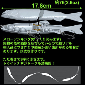 2個セット S字形 超リアル フィッシュプリント ビッグベイト FL30-RB/CB (検 ダイワ シマノ ガンクラフト ジョイクロ好きに/の画像4