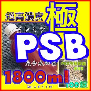 ☆ 一番濃い極上超高濃度プレミアムPSB種菌1800ml &培養剤100錠　スポイド付の培養セット