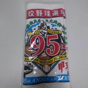 新品　甲子園　95 回大会　記念タオル　高校野球