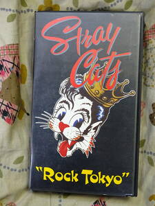 stray cats rock tokyo