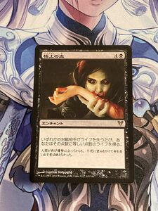 MTG 極上の血　アヴァシンの帰還　日本語版非foil