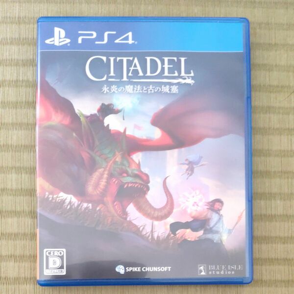 PS4ソフト シタデル CITADEL 火炎の魔法と古の城塞 動作確認済み