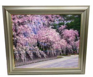 Art hand Auction Takashi Terai fleurs de cerisier de Kakunodate peinture à l'huile F20 taille peinture paysage peinture fleur de cerisier Fine Art, peinture, peinture à l'huile, Nature, Peinture de paysage