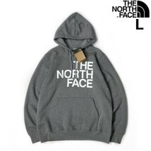 1円～!売切!【正規新品】THE NORTH FACE◆BRAND PROUD HOODIE パーカー ビッグロゴ ハーフドーム US限定 男女兼用(L)グレー 181130-33_画像1