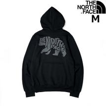 1円～!売切!【正規新品】THE NORTH FACE◆TNF BEAR PULLOVER HOODIE パーカー US限定 2023最新 ベアー グラフィック 裏起毛(M)黒 181130-33_画像1