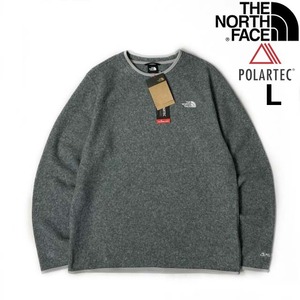 1円～!売切!【正規新品】THE NORTH FACE◆ALPINE POLARTEC 100 CREW フリース US限定 軽量 ポーラテック 刺繍 男女兼用(L)グレー 181024-30