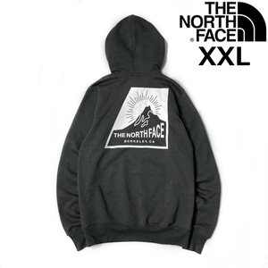 1円～!売切!【正規新品】THE NORTH FACE◆NOV GRAPHIC HOODIE パーカー US限定 2023最新 裏起毛 バックプリント(XXL)グレー 181130-33