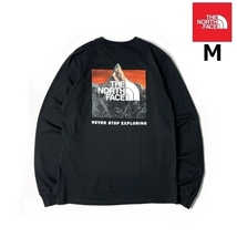 1円～!売切!【正規新品】THE NORTH FACE◆L/S BOX NSE TEE 長袖 Tシャツ ロンT US限定 ボックスロゴ バックプリント(M)黒 180902-20_画像1