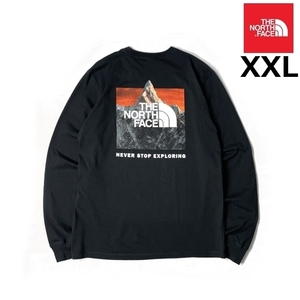 1円～!売切!【正規新品】THE NORTH FACE◆L/S BOX NSE TEE 長袖 Tシャツ ロンT US限定 ボックスロゴ バックプリント(XXL)黒 180902-20