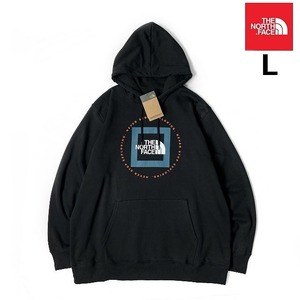 1円～!売切!【正規新品】THE NORTH FACE◆GEO NSE HOODIE プルオーバー パーカー US限定 グラフィック 裏起毛 アウトドア(L)黒 181130-30