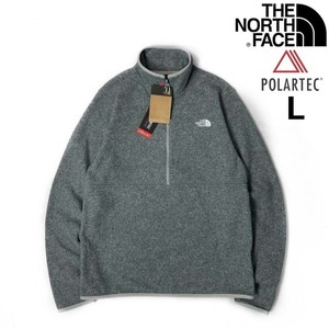 1円～!売切!【正規新品】THE NORTH FACE◆ALPINE POLARTEC 100 1/2-ZIP JACKET フリース ハーフジップ US限定 軽量(L)グレー 181024-35