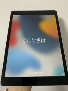 【美品に近い】iPad 2021 第9世代 中古 SIMフリー y66