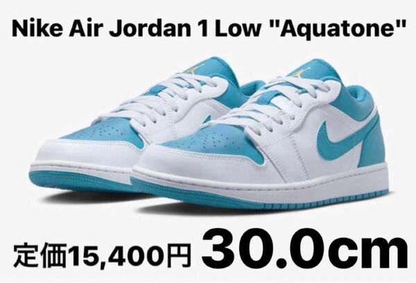 【完売品】Nike Air Jordan 1 Low Aquatone 30.0