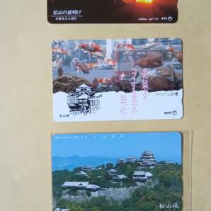 松山城のテレホンカード 3枚の画像1