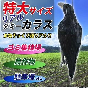 カラスよけ 43cm ◎ カラス避け 迷惑鳥 撃退 鳥獣害 対策 防止 ◎ 吊るす 吊り下げ ゴミ置き場 菜園 畑 倉庫 ハト スズメ ムクドリ