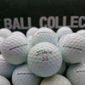 No.837【ロストボール・ タイトリスト Titleist ・ PRO V1X ・2021年モデル・ABランク・60球】