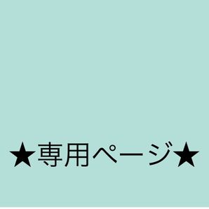 ★ハンドメイド★太ストライプ×ネイビー柄体操着入れ＋給食袋2つ