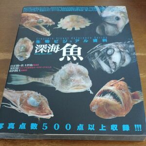 深海魚　生物ビジュアル資料 宮正樹／監修　佐土哲也／監修　韮沢靖／ビジュアル監修＆キャラクターデザイン　松沢陽士／撮影 深海魚