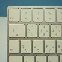 【動確済】 Apple Magic Keyborad A1644 アップルキーボード 日本語配列 Y2024022707_画像2