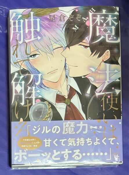 魔法使いは触れて解ける　最終値下げ