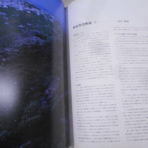 14◎★／[白川義員作品集 旧約聖書の世界 + 新約聖書の世界] 昭和55年 2冊セット 大型本の画像5