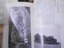 12◎★/25/遺跡・考古学関連本まとめて26冊セット　瓜生堂遺跡/地域文化誌まんだ/弥生画帖/府内のまち/稲荷山古墳出土鉄刀金象ほか_画像8