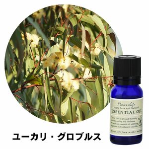 Flavor Life エッセンシャルオイル（ユーカリ・グロブルス）10ml