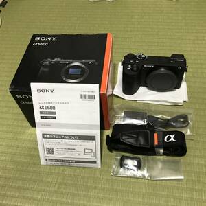 sony α 6600 美品　使用頻度極少（ショット数197）