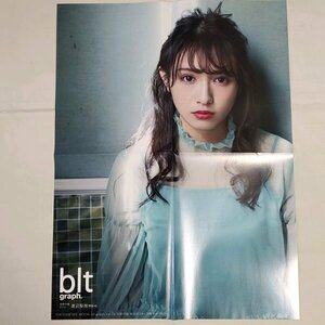 DK189 渡辺梨加（欅坂46）◆ポスター 片面 雑誌付録