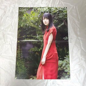 DK247 賀喜遥香（乃木坂46）◆ポスター 両面 雑誌付録