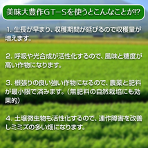 植物活力液 美味大豊作GT-S ５リットル 作物が早く大きく育ち収穫量も増加！_画像6