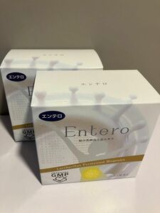 エンテロ　entero 複合乳酸菌生産エキス　10ml×30本入　新品　未開封　MSコーポレーション