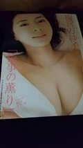 女優、タレント、梅宮万紗子、ラストグラビア、切り抜き袋とじです。元国会議員秘書。清楚、可憐、知的。_画像5