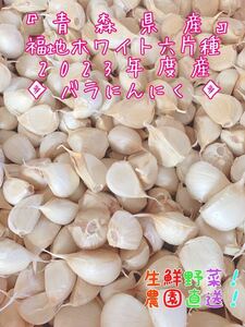 青森県産にんにく 福地ホワイト六片種 2023年度 ニンニク バラにんにく 10キロ