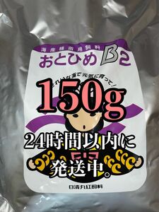 おとひめB2 150g 3月31日までの価格