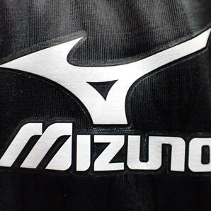 Ｒ６‐０６０ 希少・廃番品 ミズノ ＭＩＺＵＮＯ マイティライン セントラルスポーツ 競泳水着 Ｌサイズ の画像2