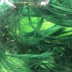 金魚の産卵床GFグリーン50センチ(沈下性 人工藻)(送料無料即決)(新品未使用)らんちゅう 琉金 和金 オランダ 東錦 グッピーの稚魚の隠れ家の画像5