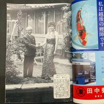 k-74282 恋鯉 1975年 昭和50年8月発行 創刊号 錦鯉専門雑誌 根岸明美 古本 古書 昭和レトロ_画像8