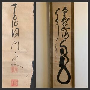 【模写】掛軸M637[雲性洞門　龍日献四海水]紙本　書いたもの／仏画　仏教美術　曹洞宗僧侶　加賀天徳院　江戸期　古書