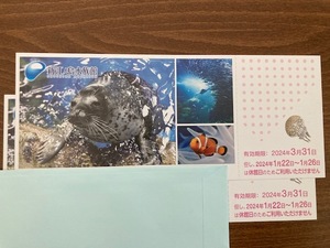 送料無料　新江ノ島水族館　ご招待券　ペア 3/31まで　匿名配送