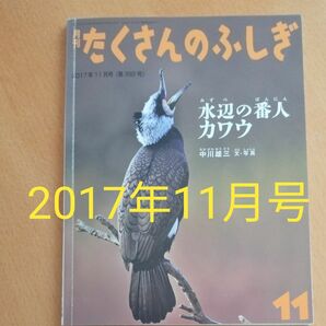 たくさんのふしぎ 中川雄三