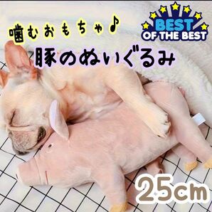 ペット用　犬用　豚　子豚　ピッグ　ぬいぐるみ　きしむ　咀嚼おもちゃ　噛むおもちゃ 耐久性　ふかふか　薄いピンクベージュ　25cm　