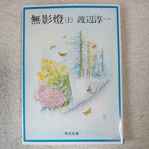 無影燈 (上) (角川文庫) 渡辺 淳一 9784041307083