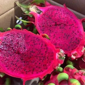  red dragon fruit 20 piece entering 