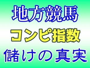 ☆超簡単に儲かる20法則！地方競馬コンピ指数の真実 的中率40％超 回収率130％達成 日刊コンピ 極ウマ 副業 サイドビジネス 完全オリジナル