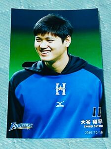 日本ハムファイターズ　　大谷翔平　　ポストカード　生写真