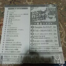 即決 ! 少年サンデー17号 NintendoSwitch Lite1名当選等プレゼントが60名に当たるプレゼント応募券1枚_画像3